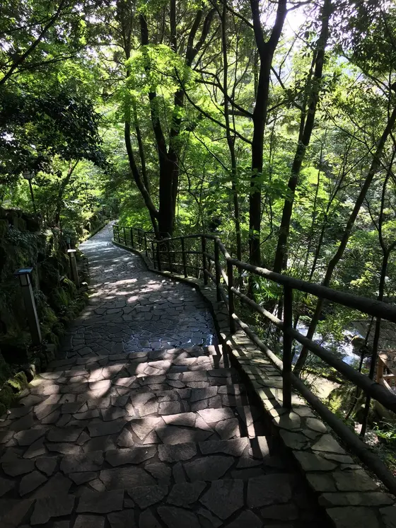 一面緑