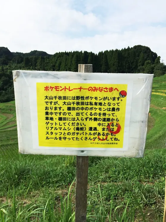 こんな案内板見つけました