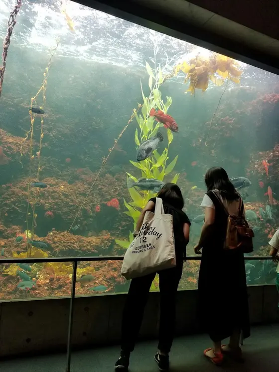 館内