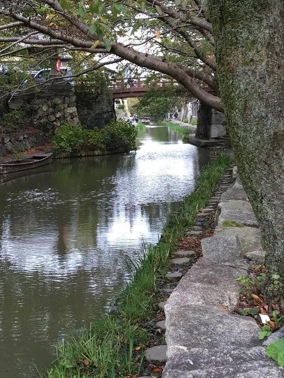 水路のそばから