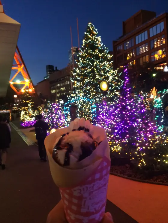 寒い季節は東京タワーのイルミネーションで温まろう🗼