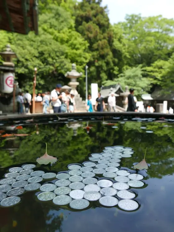 旭社前の水甕に浮かべる