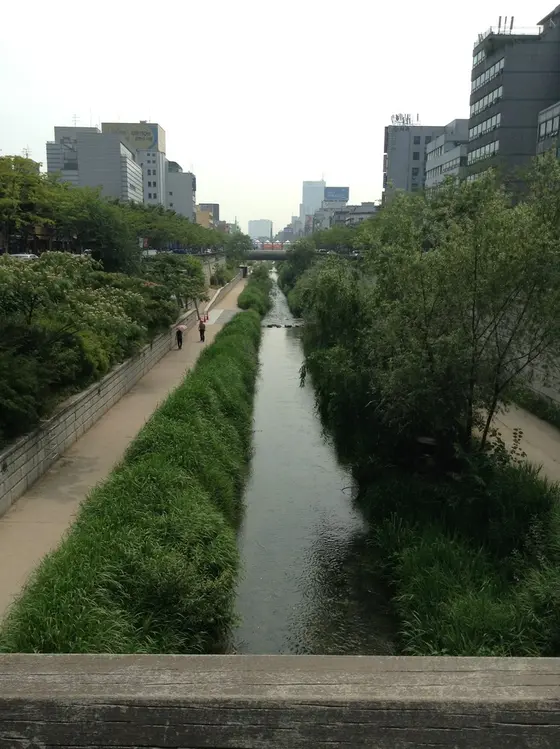 緑も多く気持ちいい。