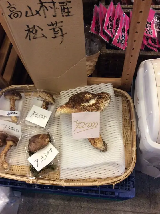 松茸