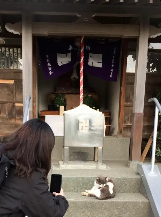 スポット内のおすすめ