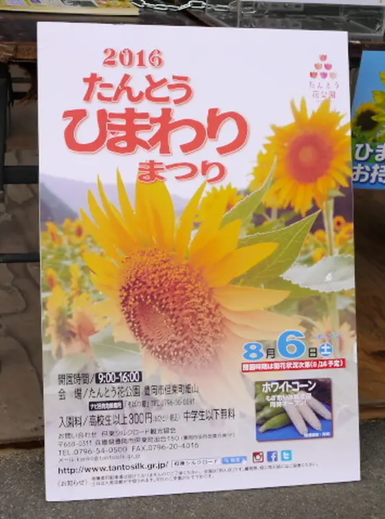 たんとうひまわりまつり