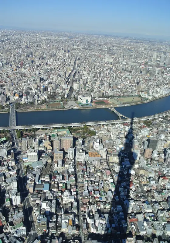 スカイツリーからの景色