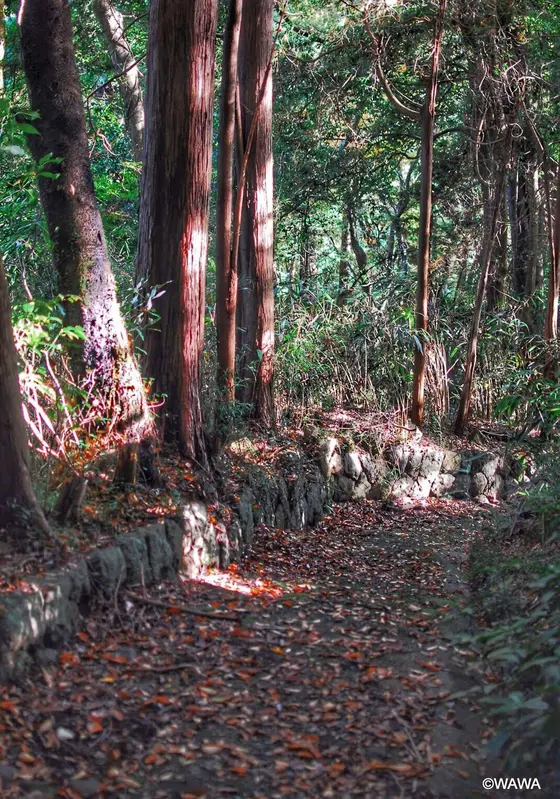 明治前期に整備された人馬道