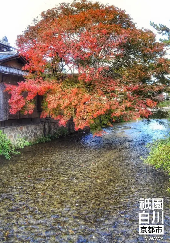 祇園白川