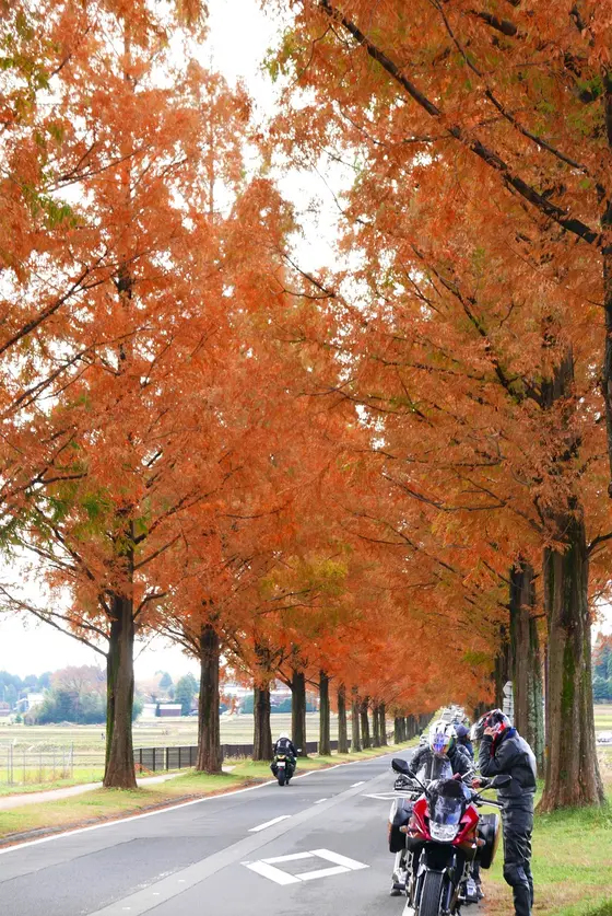 バイクで行けばよかった