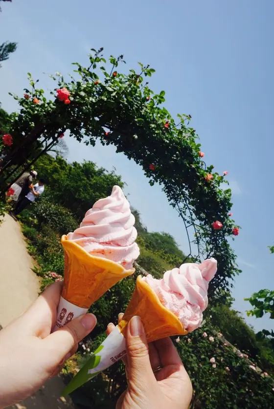 スポット内のおすすめ