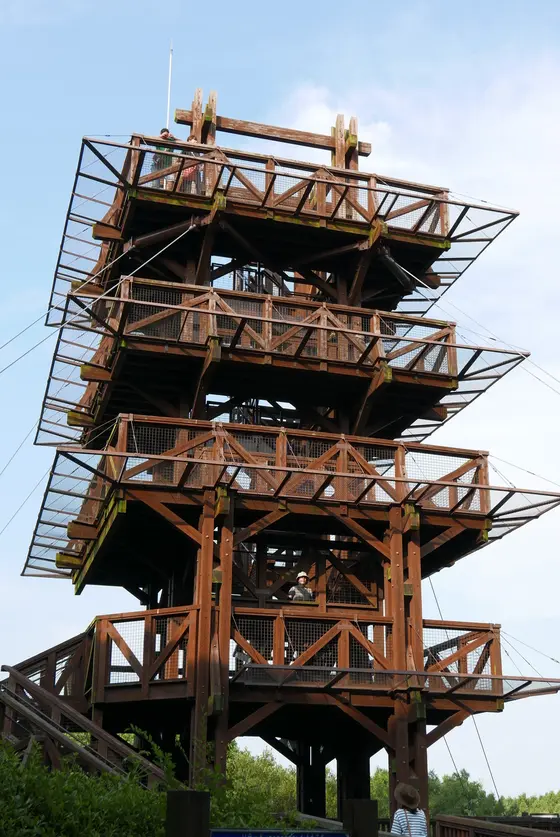 森全体が見渡せる展望台