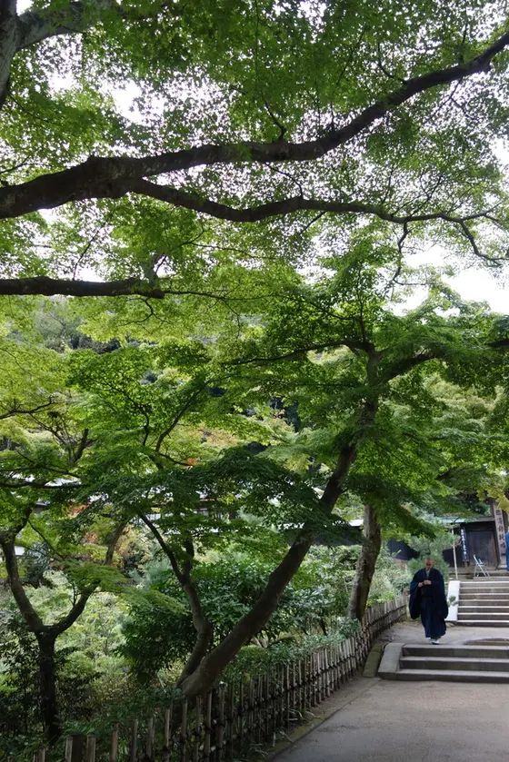 秋には紅葉も。