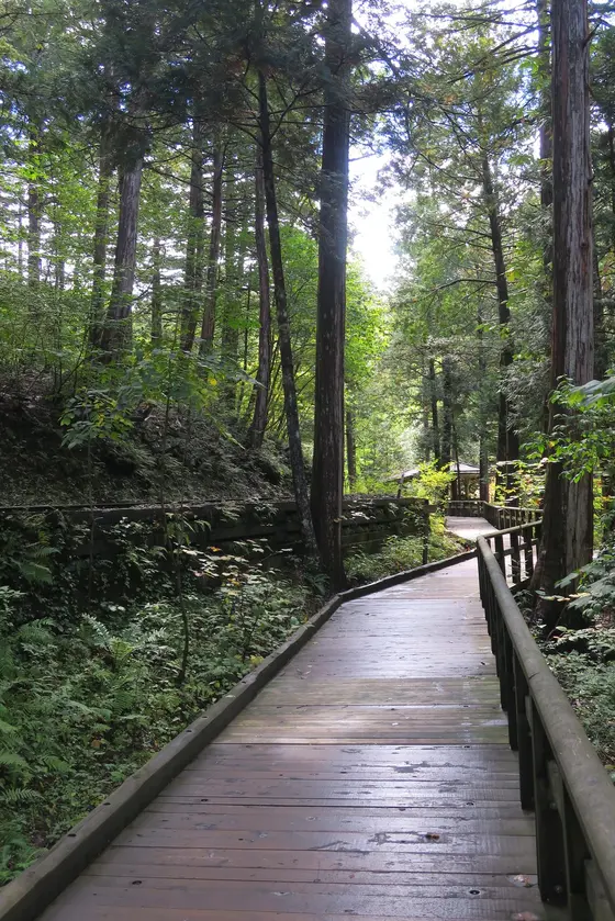 段差が皆無の散策路