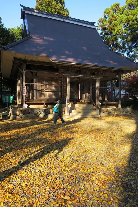 銀杏の落ち葉が輝く境内