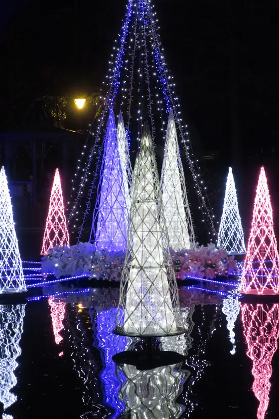 池のイルミネーション