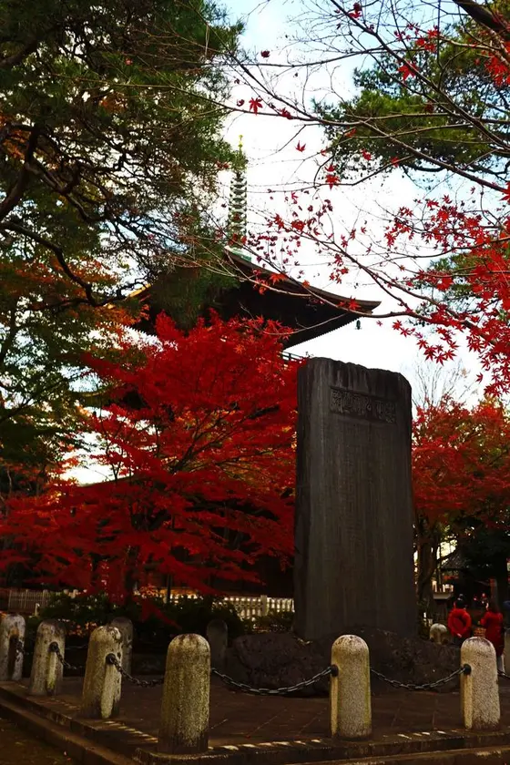 紅葉の時期