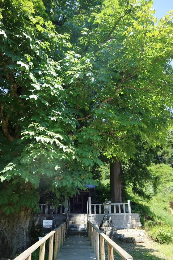 木製の柵の参道