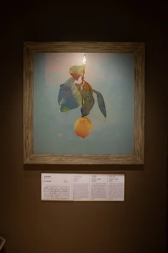 Lemon