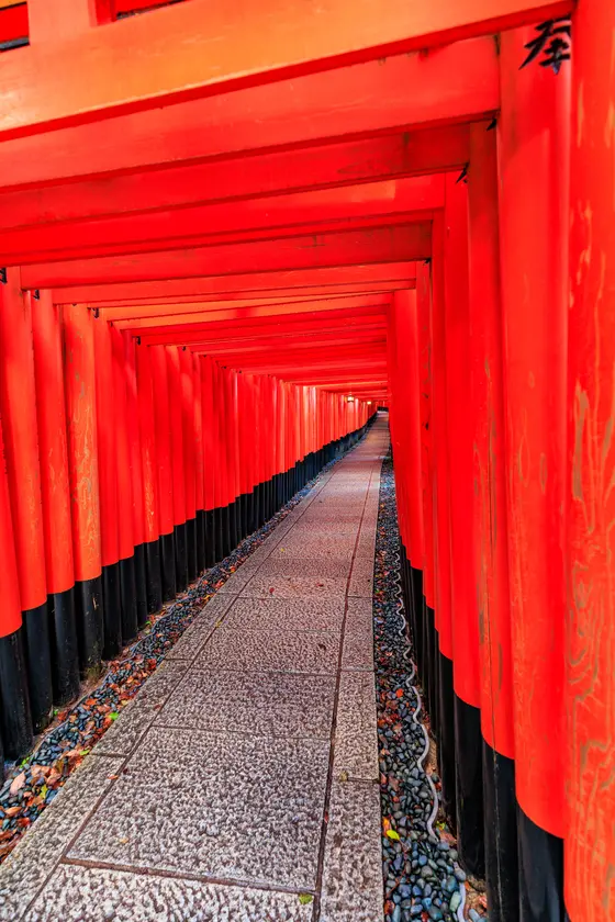 千本鳥居