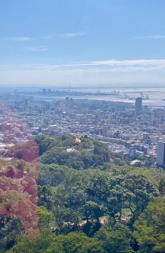 ロープウェイからの景色