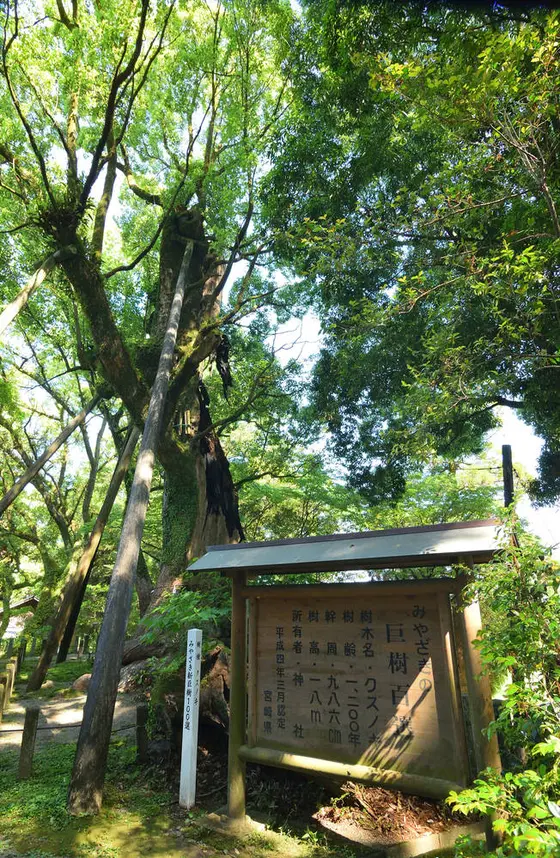 妻のクス
