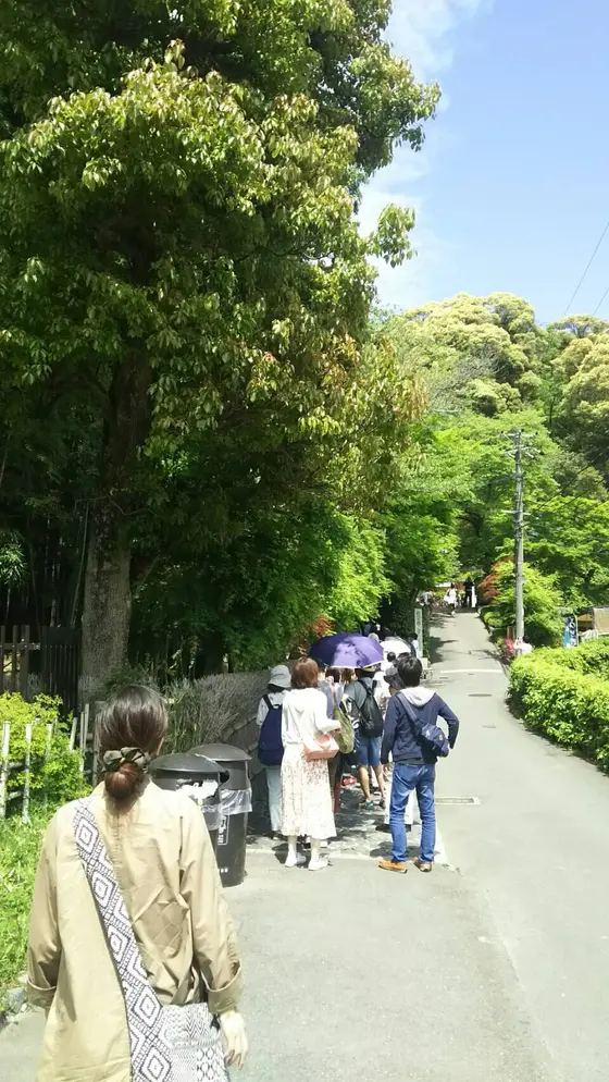 新緑が気持ち良い入り口
