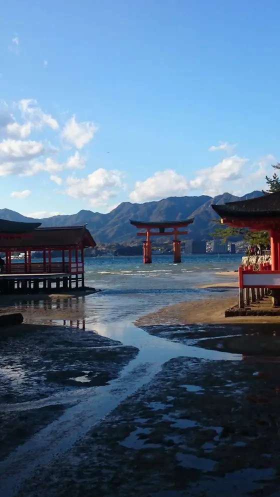 水がひいてきた大鳥居