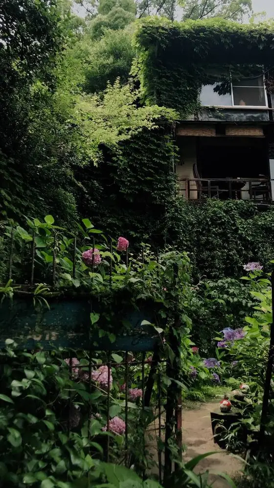 梟の館