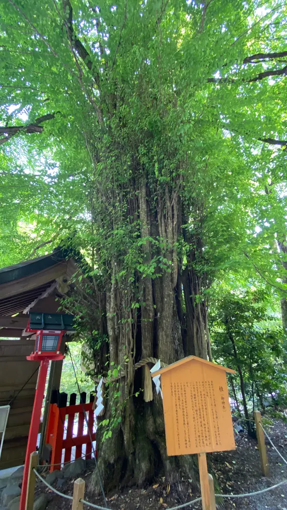 スポット内のおすすめ