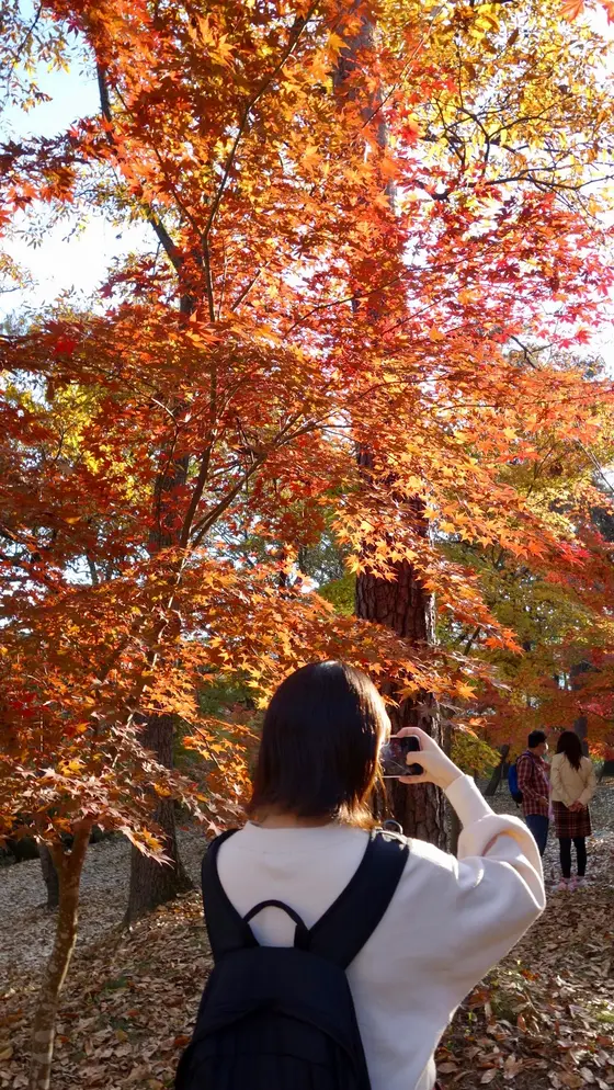 シャッターを押す手が止まらない