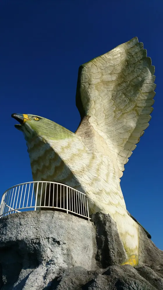 鳥さん