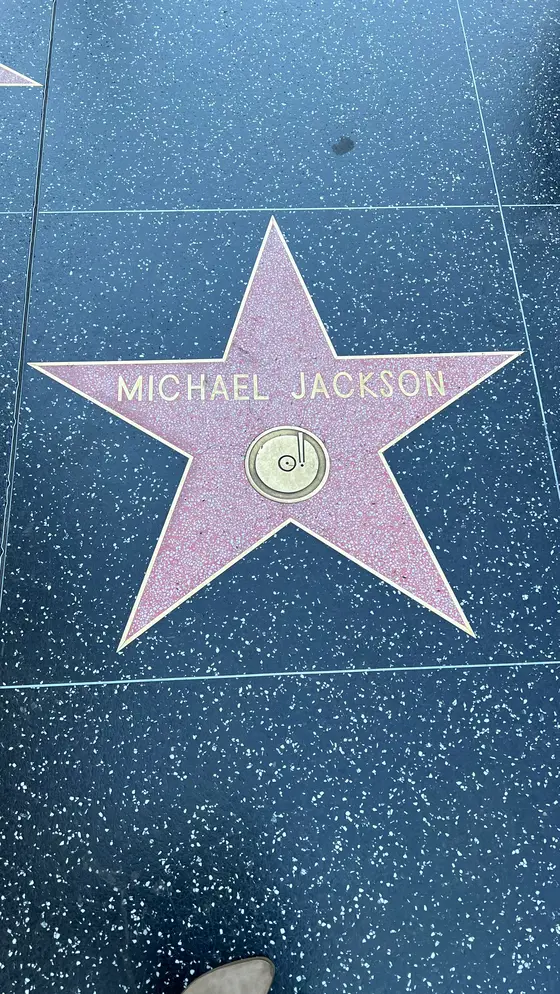 スターの名前の書かれた星が埋め込まれてまず⭐️