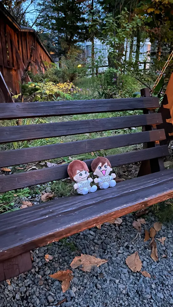出入口にあるブランコ…？なんだっけこれ