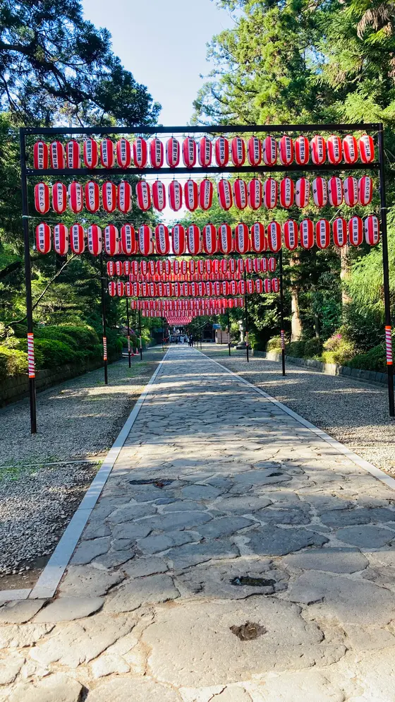 スポット内のおすすめ