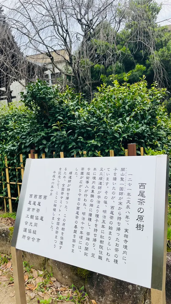 こんなところに！