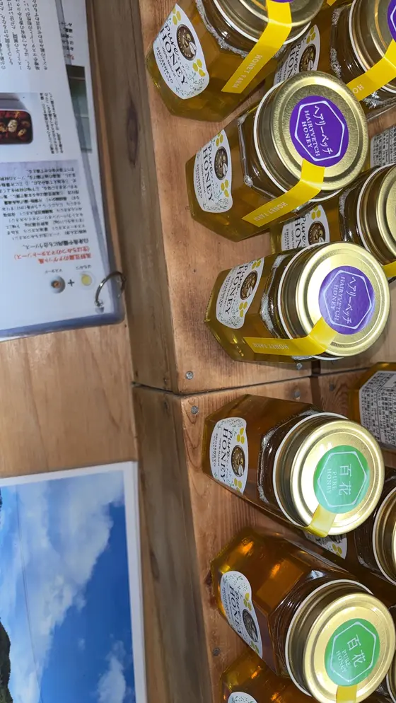 スポット内のおすすめ
