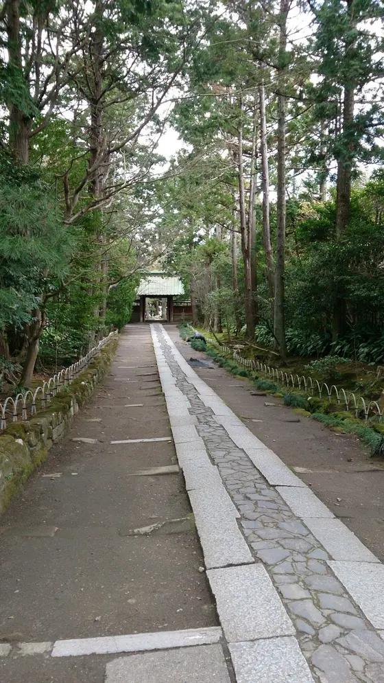 中から外の様子