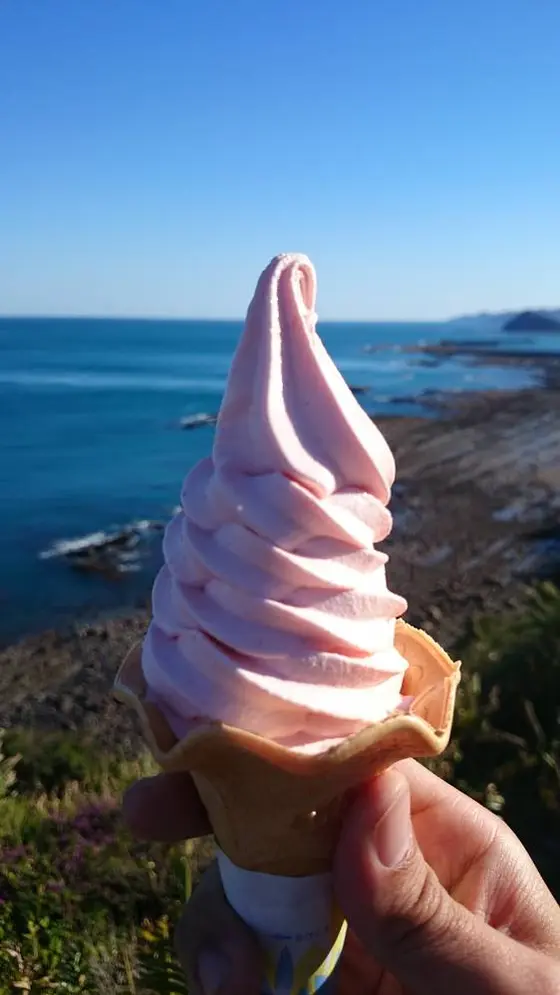 エビソフト