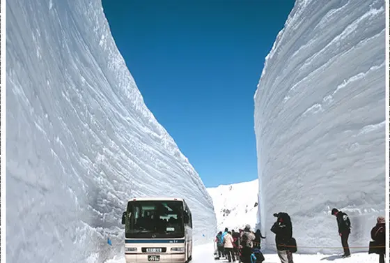 ゴールデンウィークでも見える