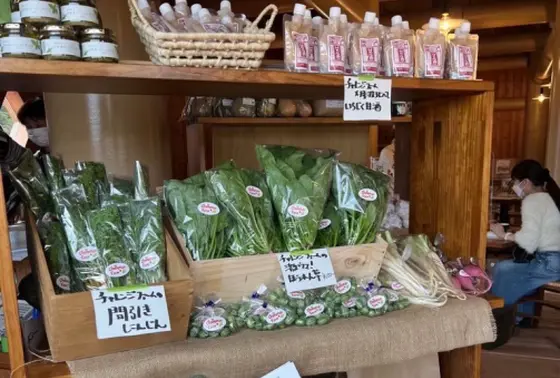 地産野菜の直売コーナー
