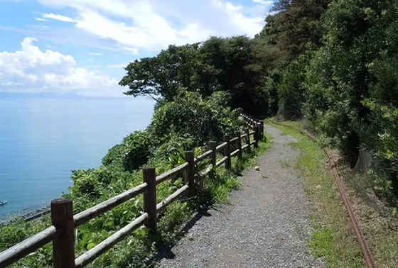 展望台への道