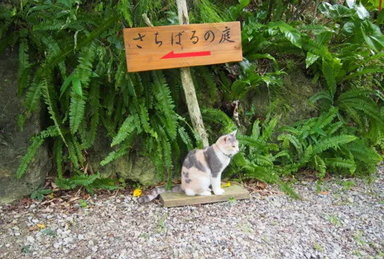 おまけ