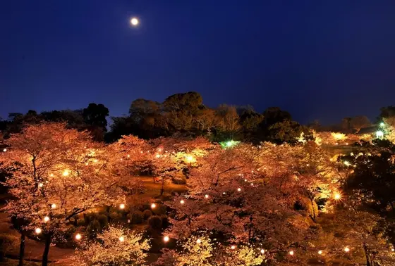 菊池公園一帯