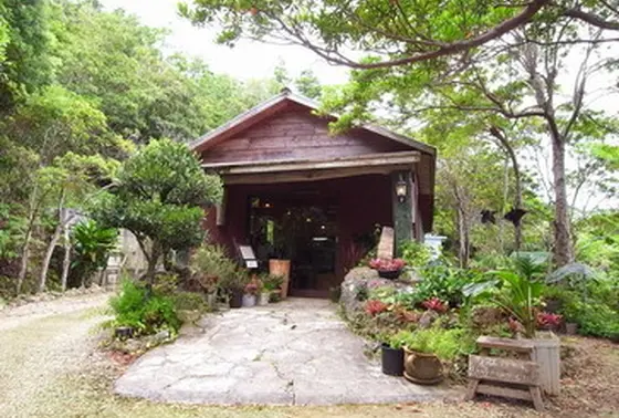 カフェ登場！