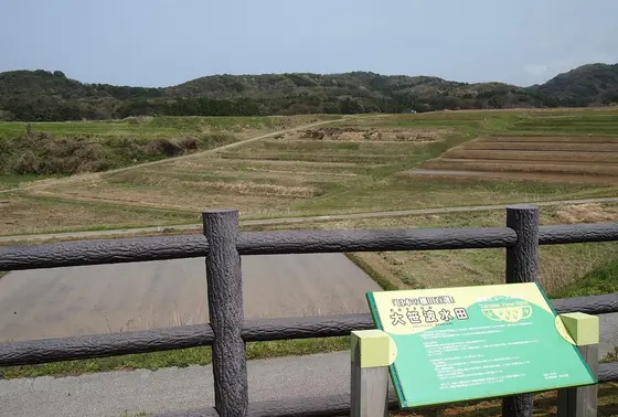 ビュースポット
