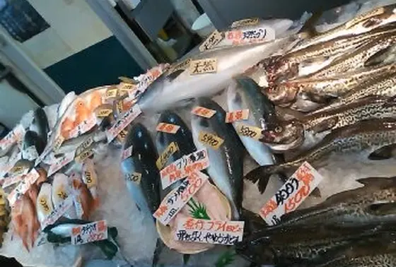 鮮魚をお土産に！
