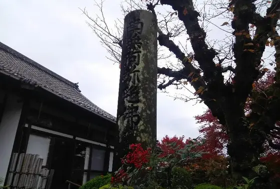 ナント！地中にあった？！