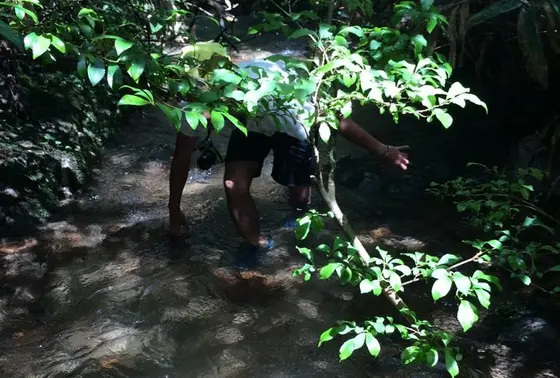 シャワークライミング