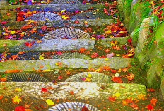 紅葉の季節もキレイです